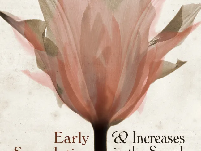 Early Speculative Bubbles by Douglas E. French